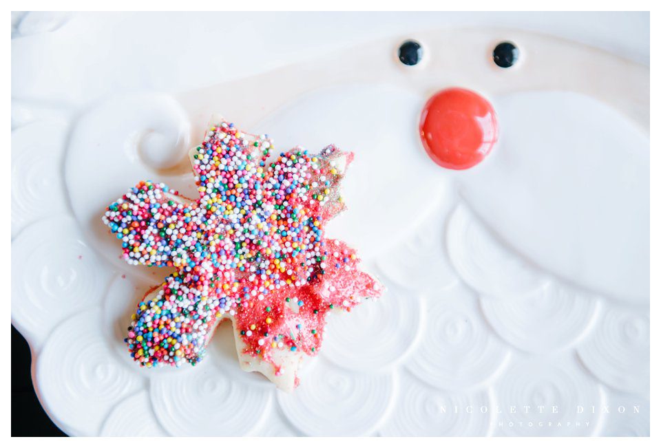 Sewickley Family Photographer