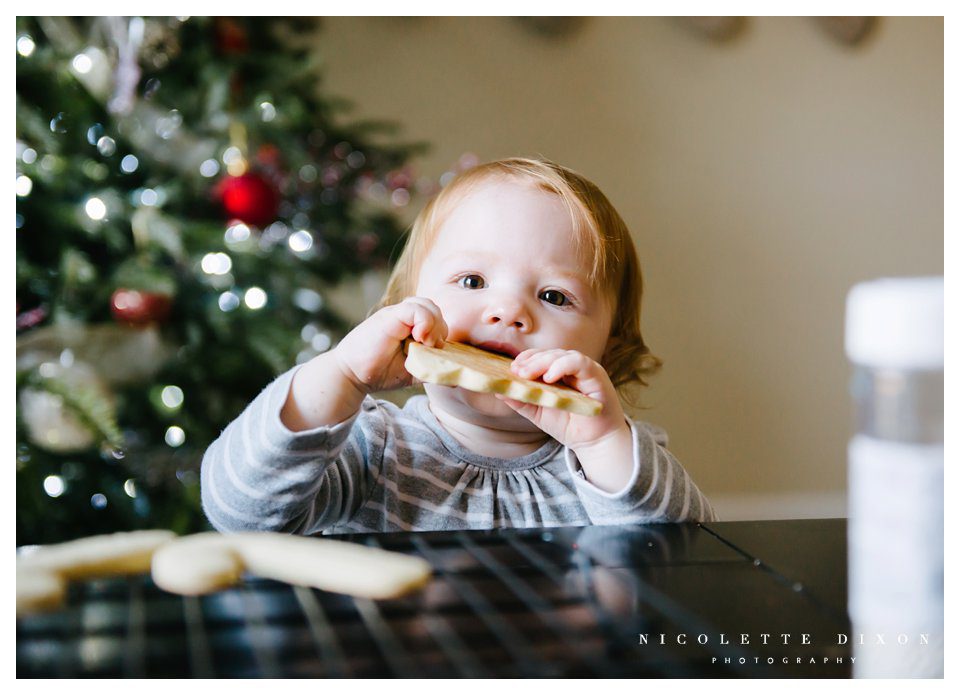 Sewickley Family Photographer