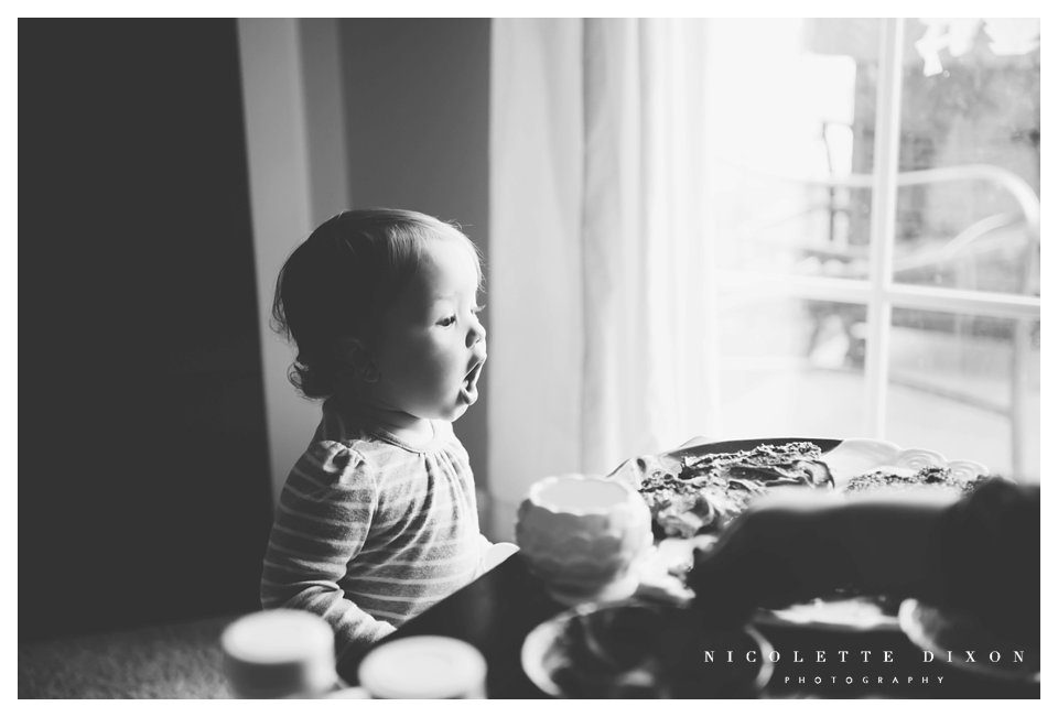 Sewickley Family Photographer