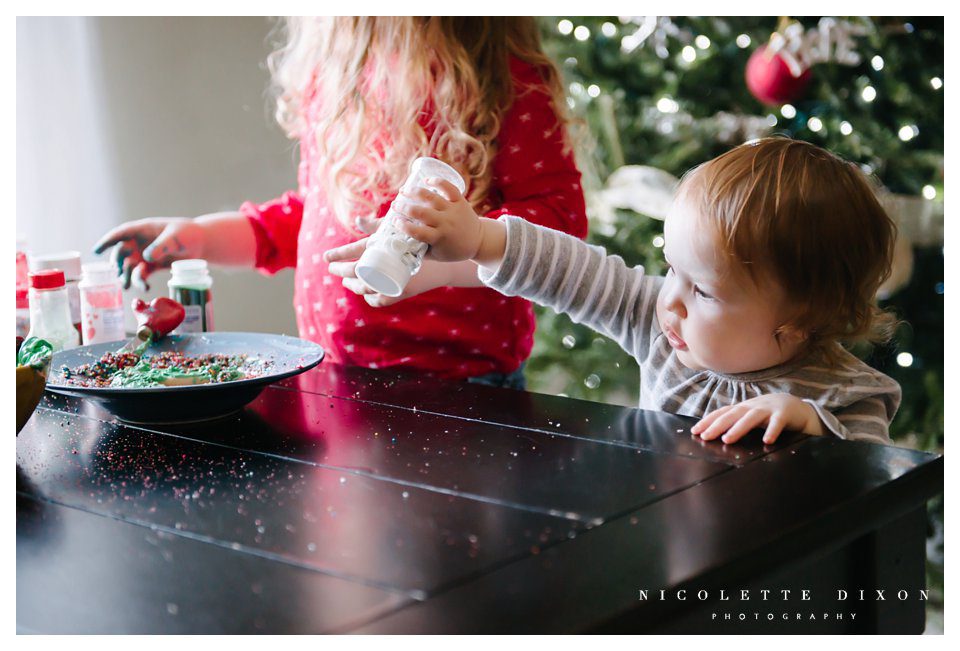 Sewickley Family Photographer