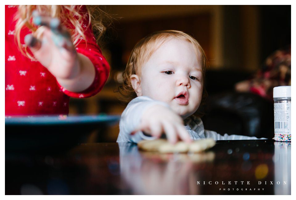 Sewickley Family Photographer