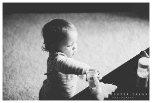 Sewickley Family Photographer