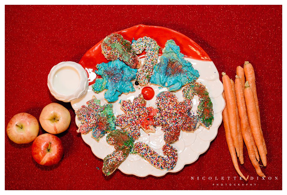 Sewickley Family Photographer