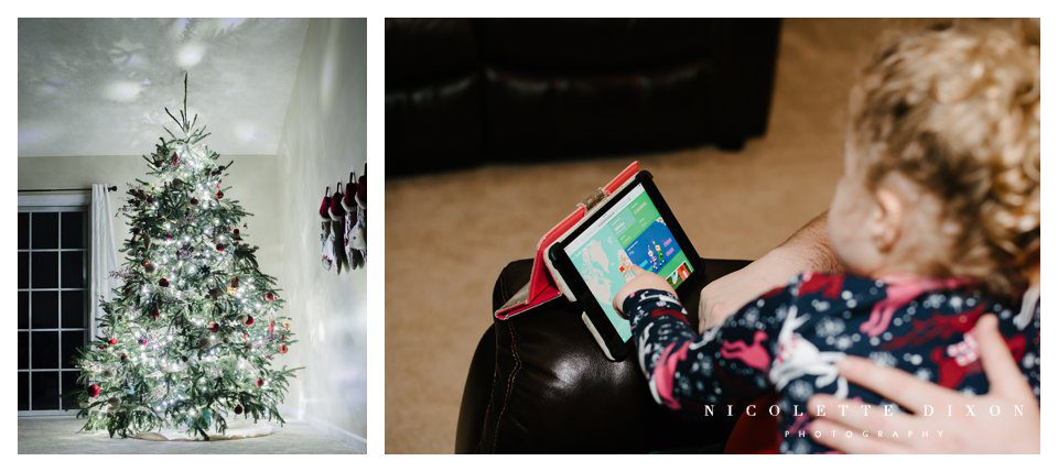 Sewickley Family Photographer