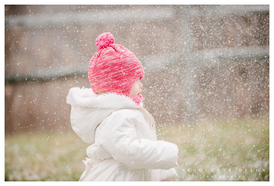 Sewickley Kid Photographer