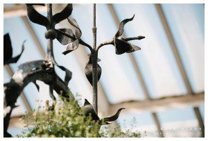 Phipps Conservatory Wedding Photographer