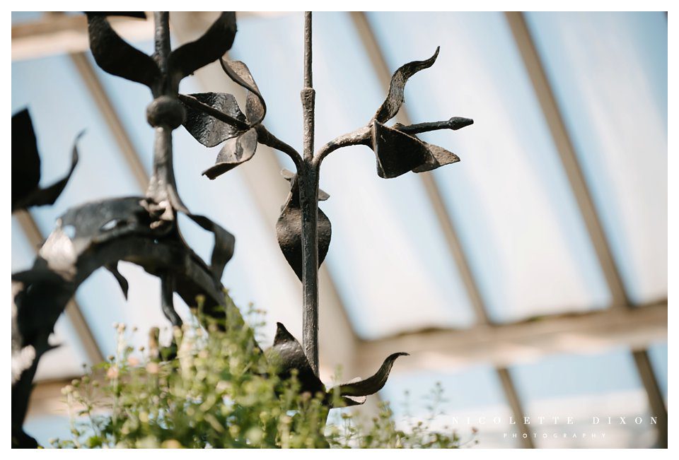 Phipps Conservatory Pittsburgh Wedding Photographer
