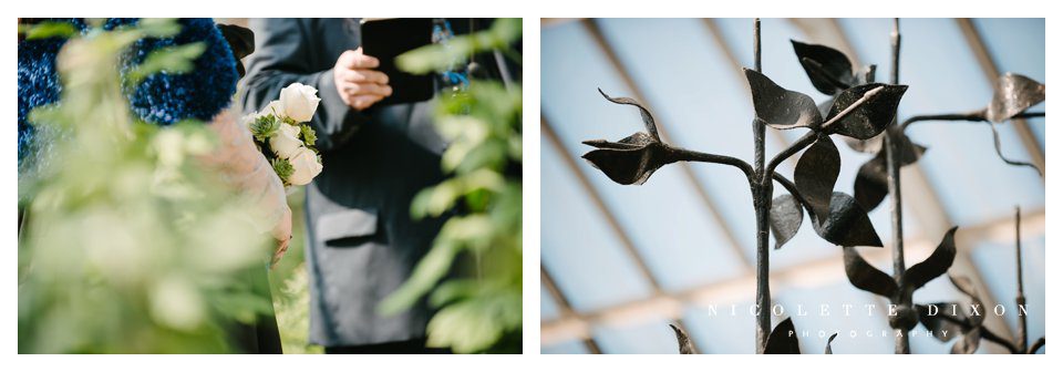 Phipps Conservatory Pittsburgh Wedding Photographer