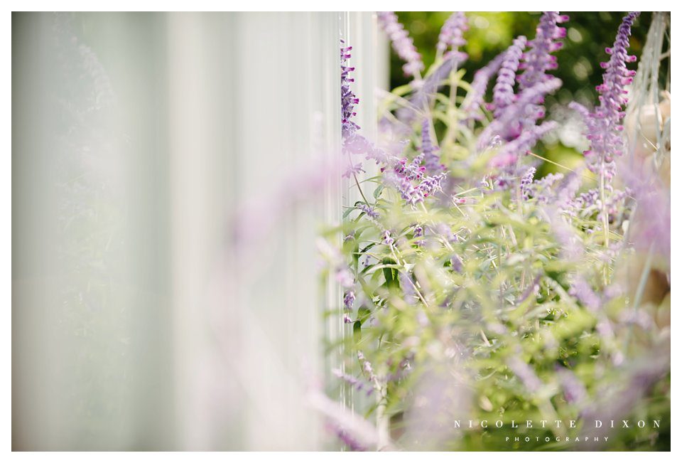 Phipps Conservatory Pittsburgh Wedding Photographer