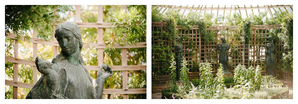 Phipps Conservatory Pittsburgh Wedding Photographer