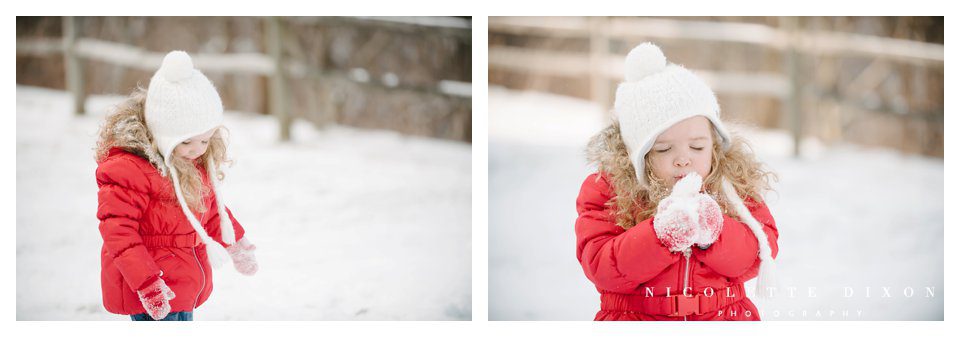 Pittsburgh Photographer