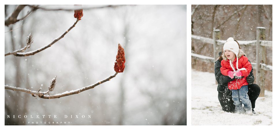 Pittsburgh Photographer