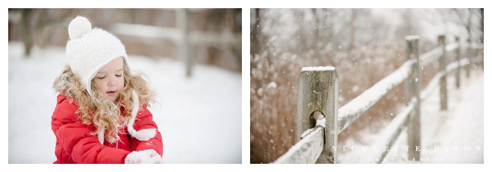 Pittsburgh Photographer