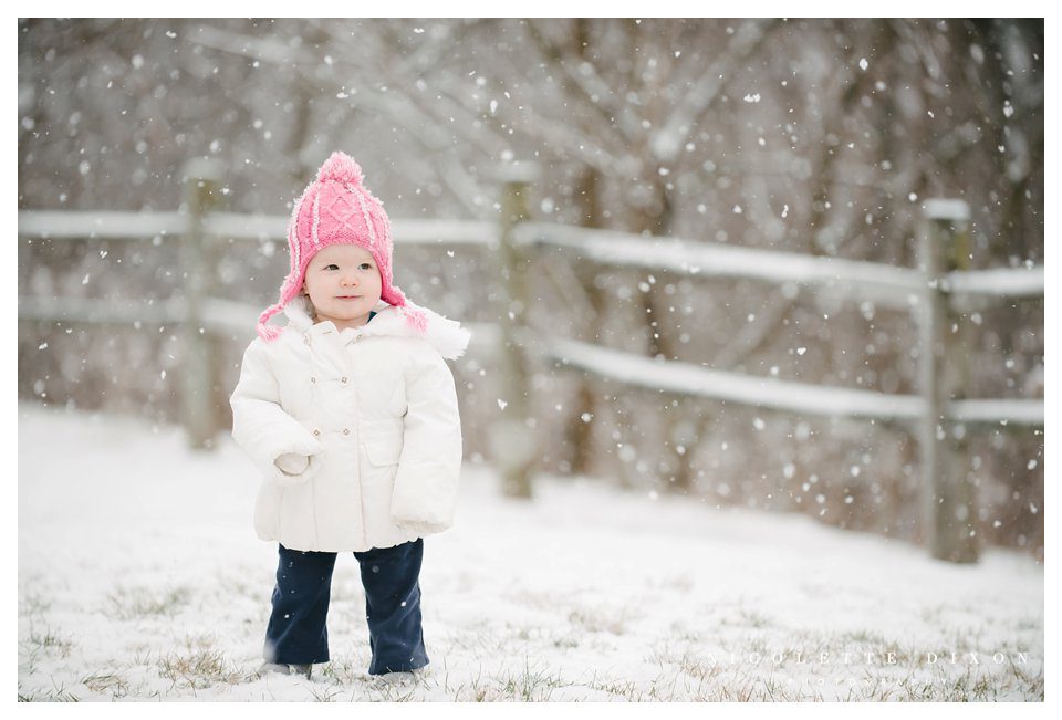 Pittsburgh Photographer