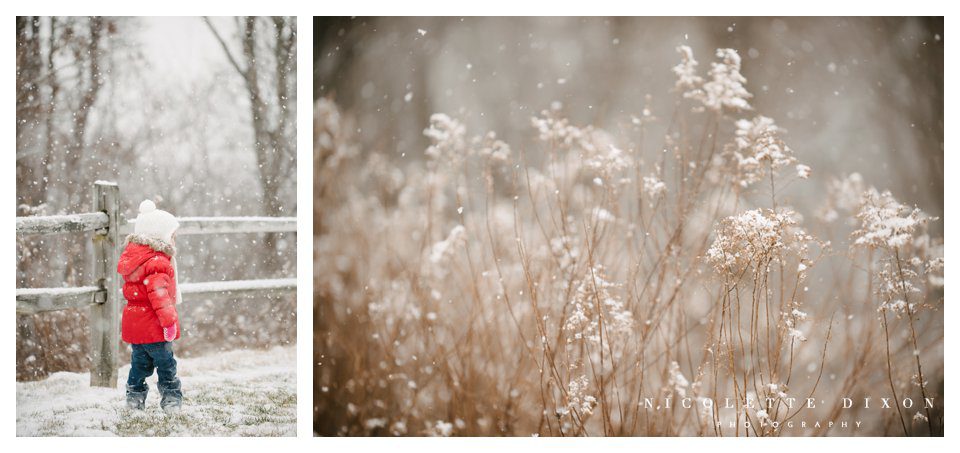 Pittsburgh Photographer