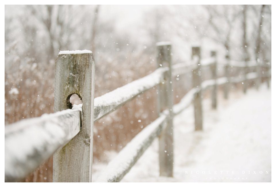 Pittsburgh Photographer