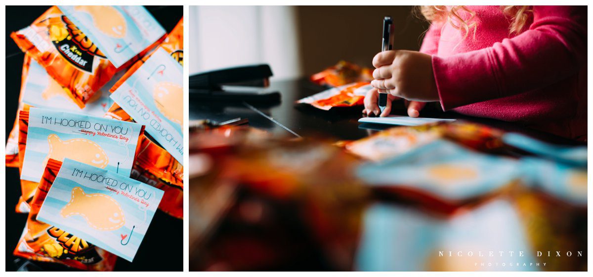 Pittsburgh PA Family Photographer