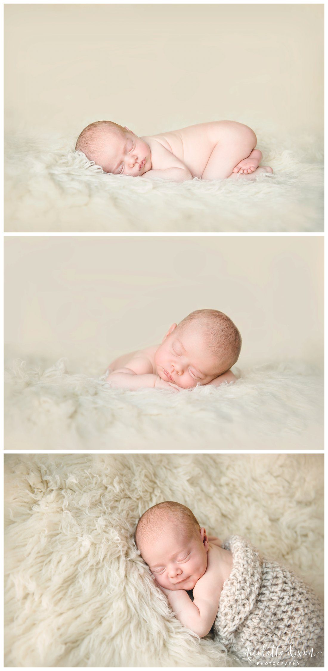 Pittsburgh Newborn Photographer