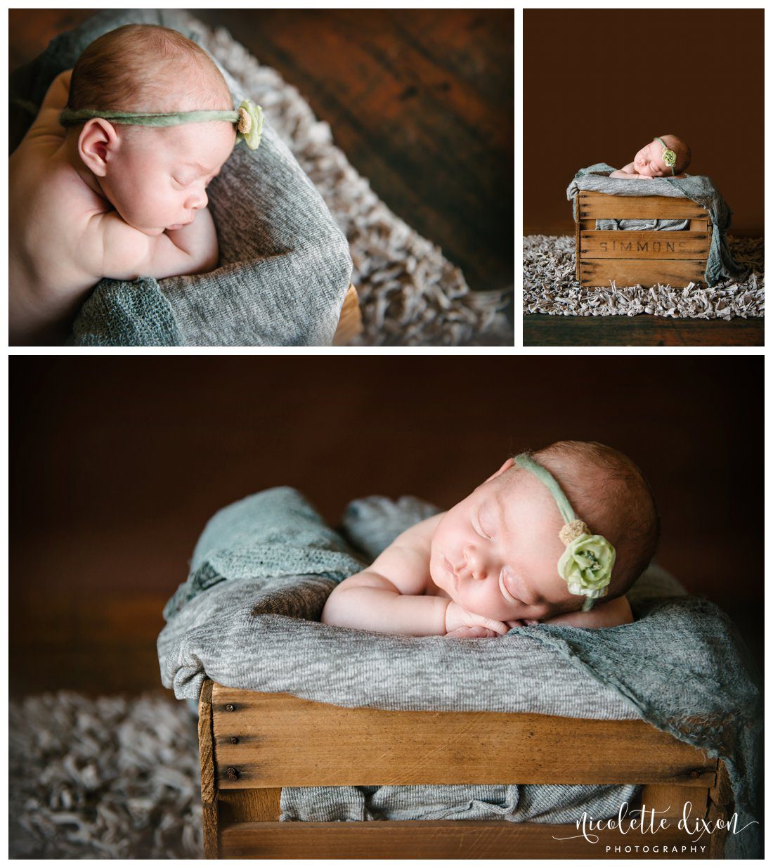 Pittsburgh Newborn Photographer