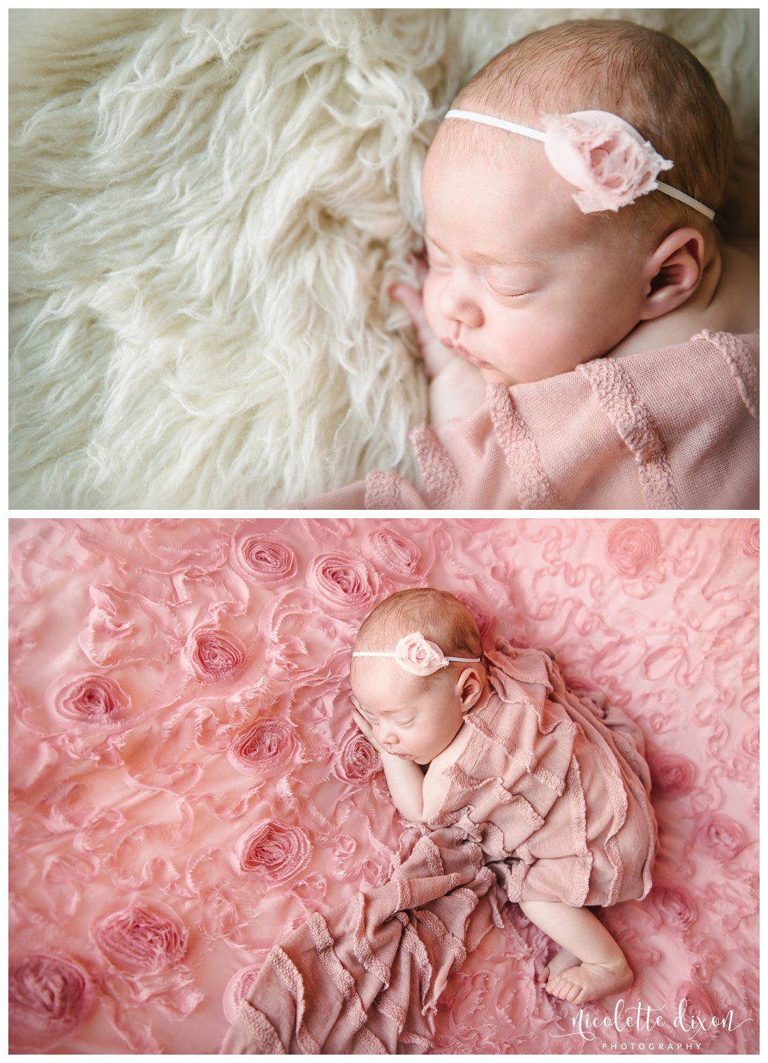 Pittsburgh Newborn Photographer