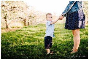 Soergels Orchard Wexford PA Family Photographer