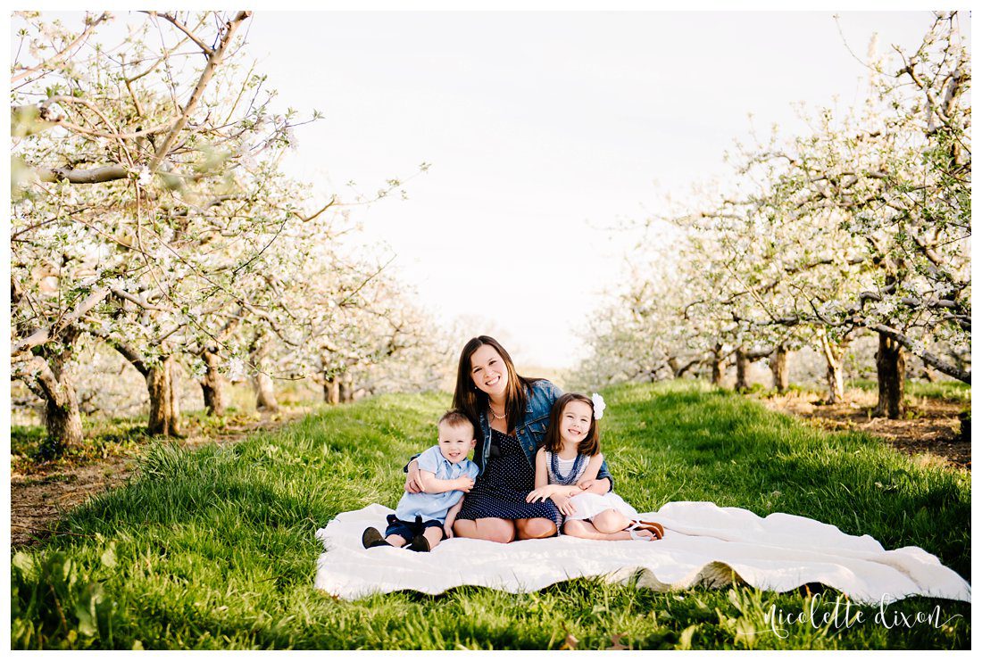 Soergels Orchard Wexford PA Family Photographer