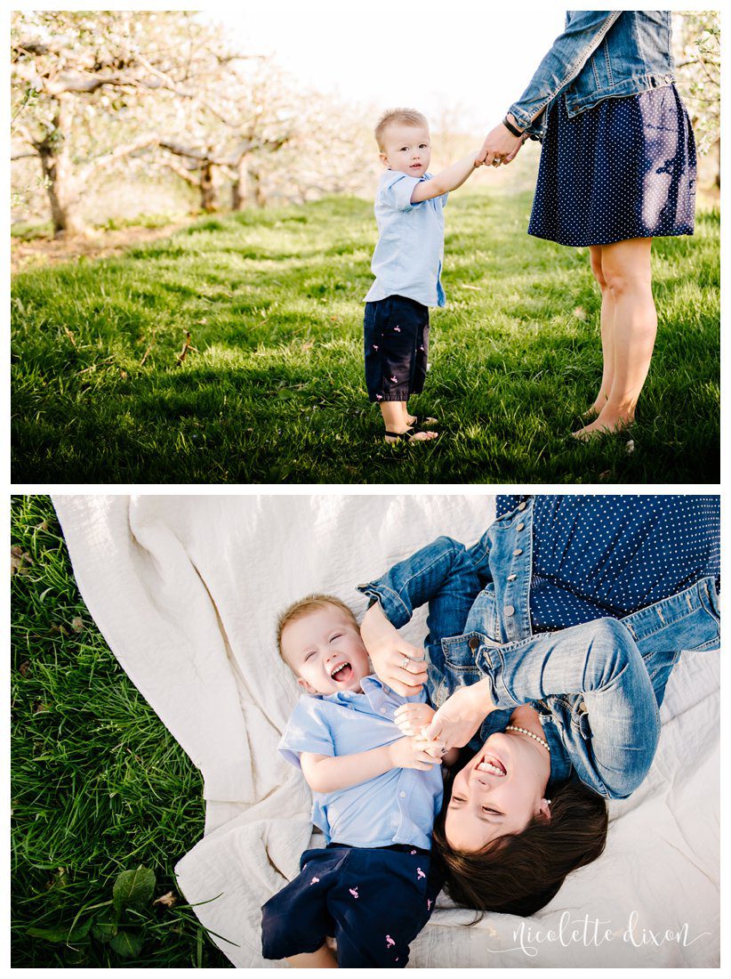Soergels Orchards Wexford PA Family Photographer