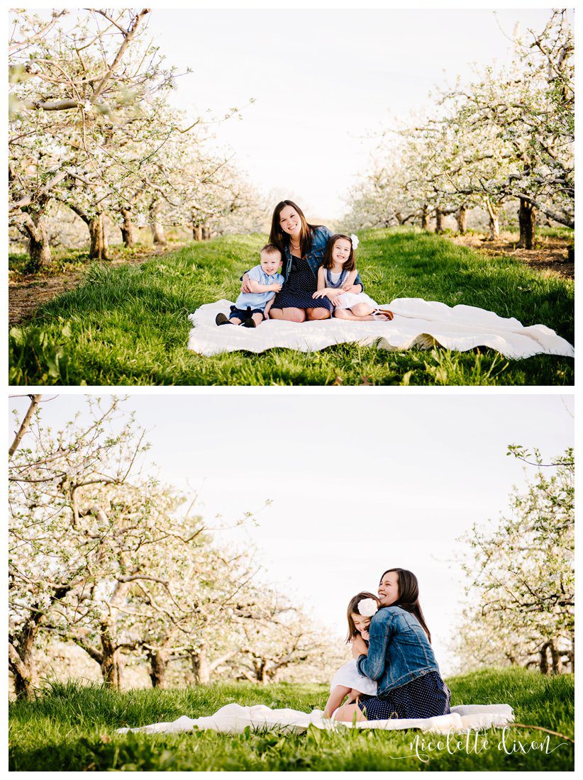 Soergels Orchards Wexford PA Family Photographer