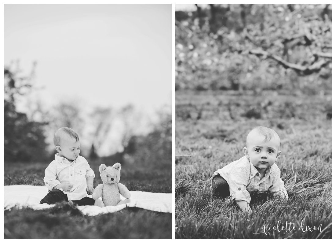 Wexford PA Baby Photographer