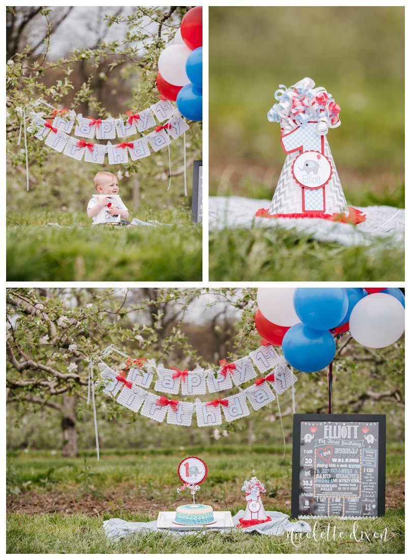 Wexford PA Baby Photographer