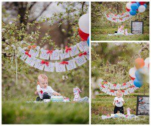 Wexford PA Baby Photographer