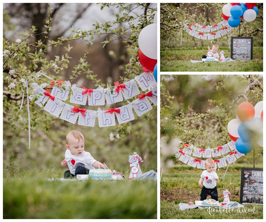 Wexford PA Baby Photographer