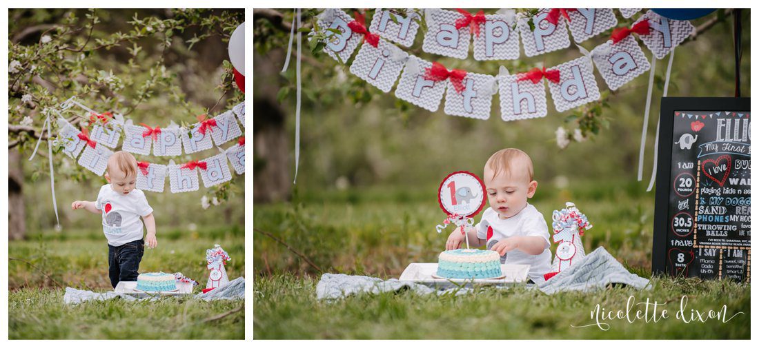 Wexford PA Baby Photographer