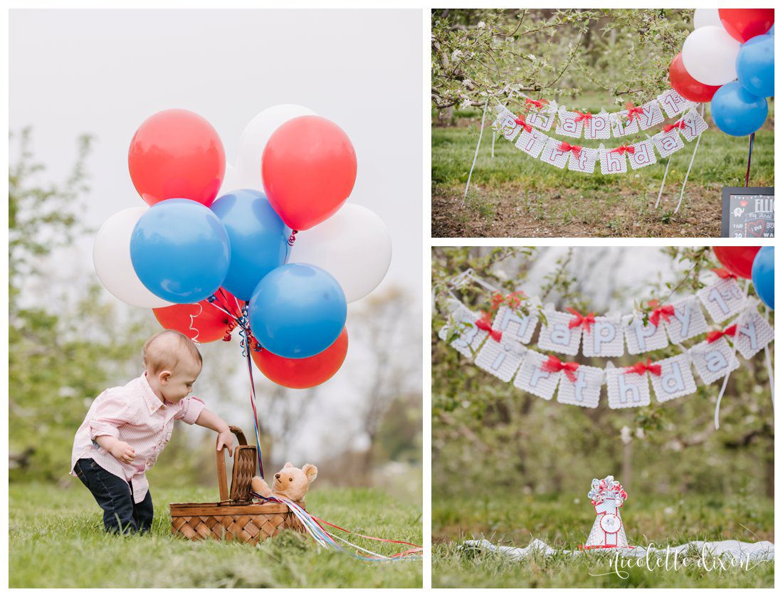 Wexford PA Baby Photographer