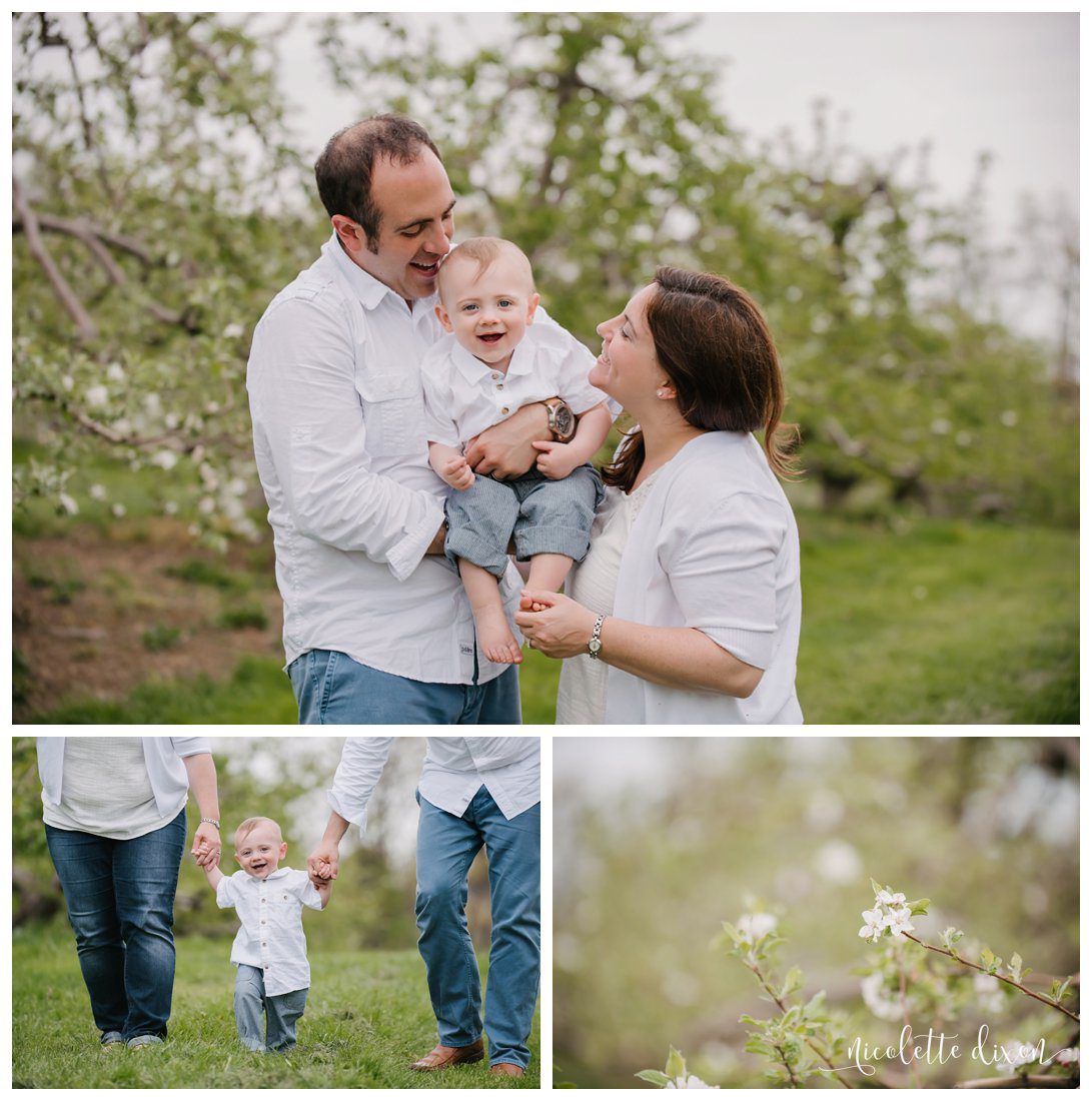 Wexford PA Baby Photographer