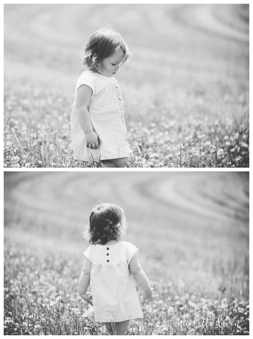 Simmons Farm Peters Township PA Family Photos