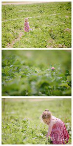 Simmons Farm Peters Township PA Family Photographer