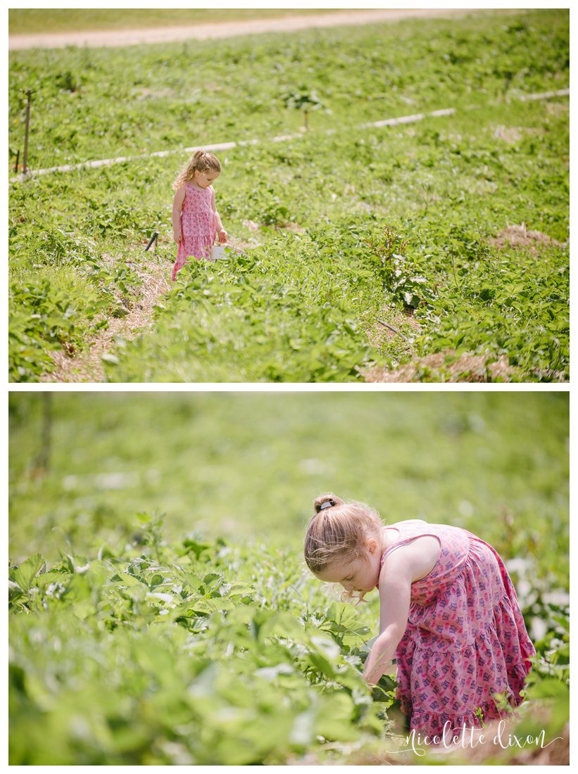 Simmons Farm Peters Township PA Family Photos