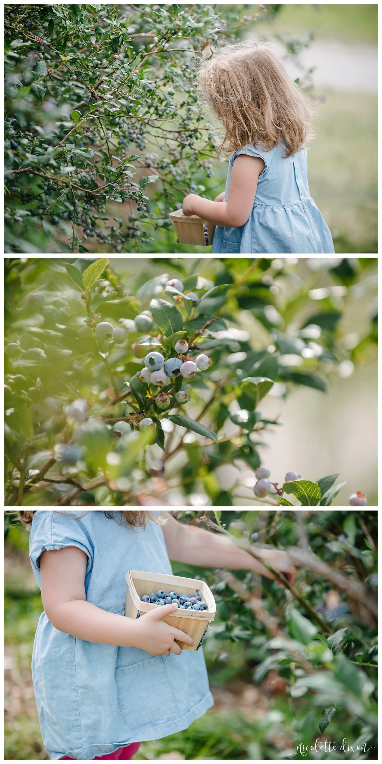 Wexford Photographer