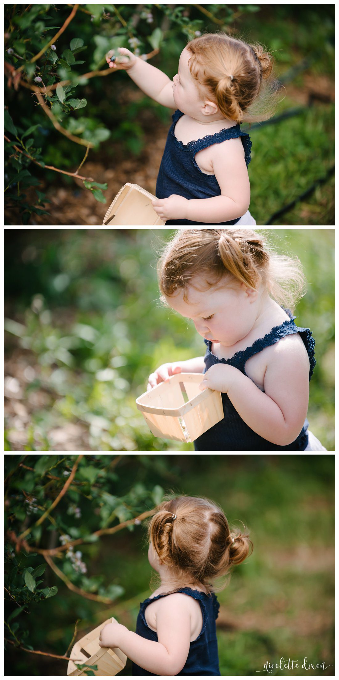 Wexford Photographer