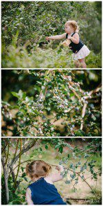 Soergel Orchards Wexford PA Kid Photographer