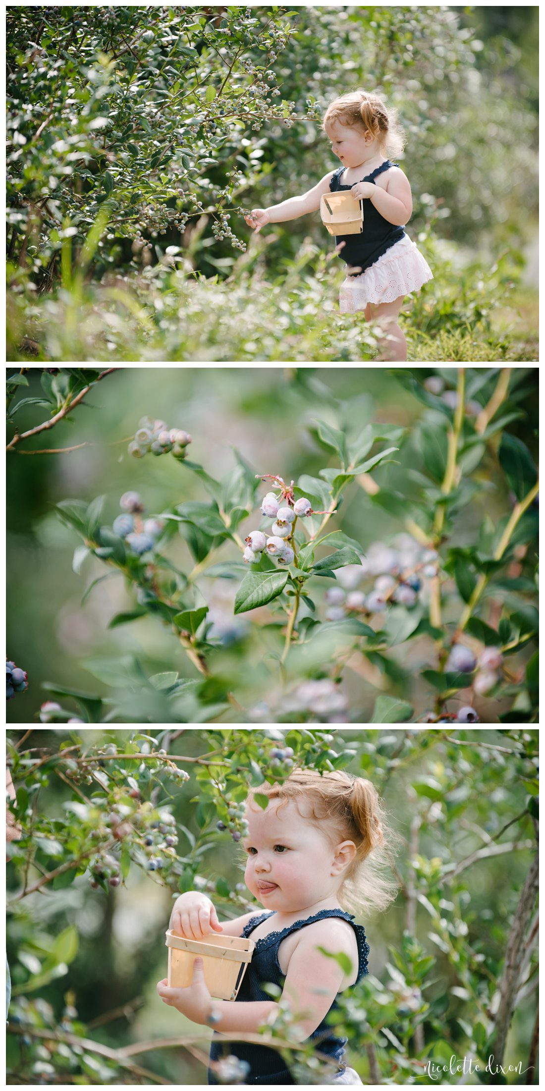 Wexford Photographer