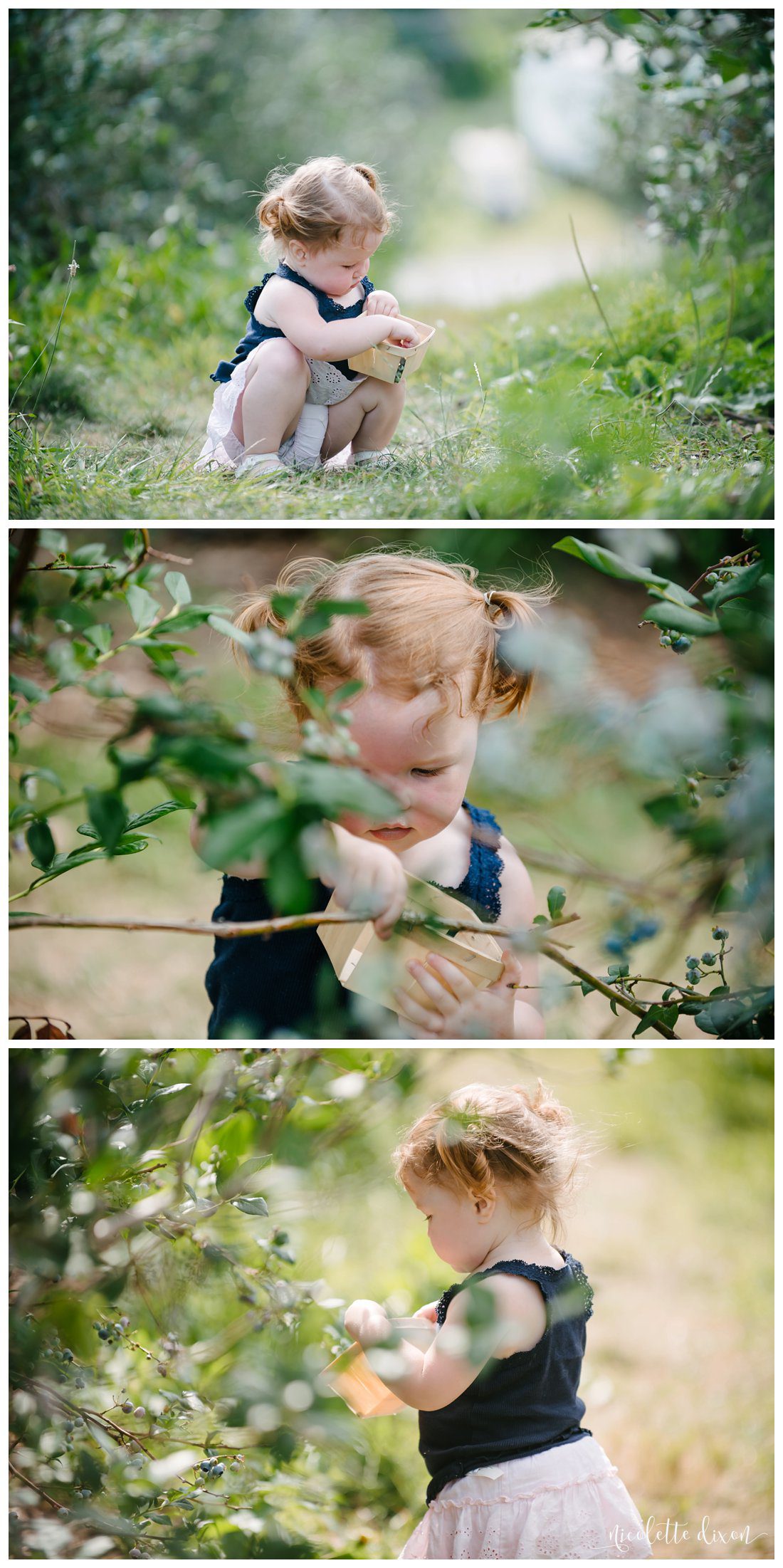 Wexford Photographer