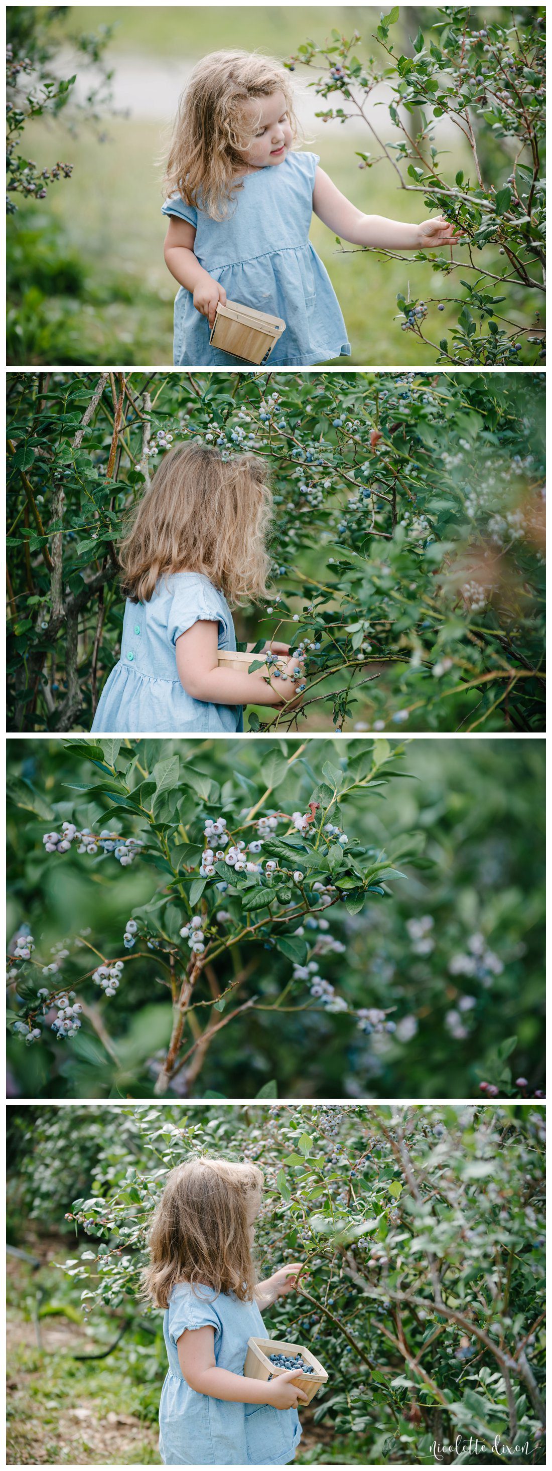 Wexford Photographer