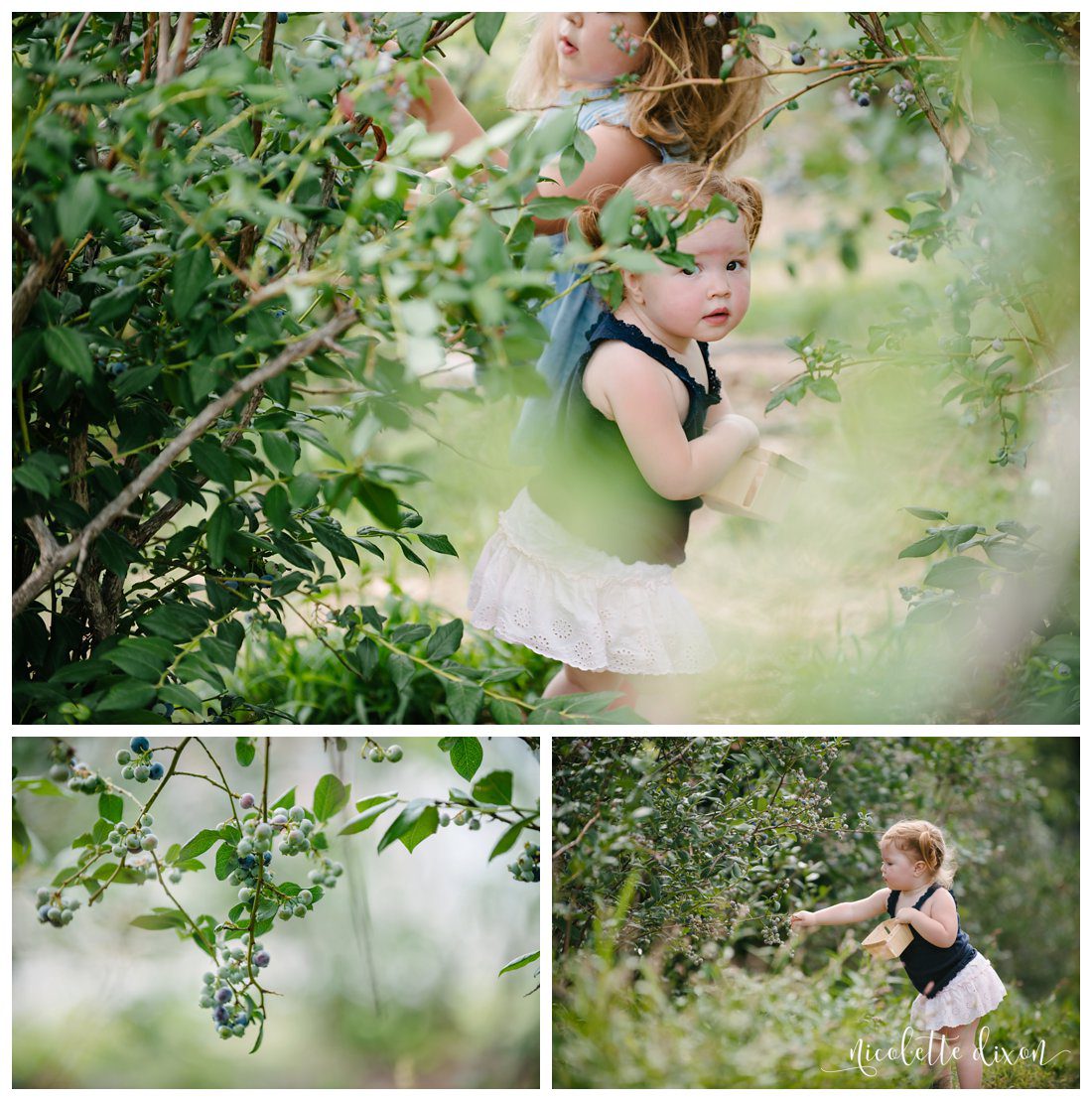 Wexford Photographer