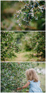 Soergel Orchards Wexford PA Kid Photographer