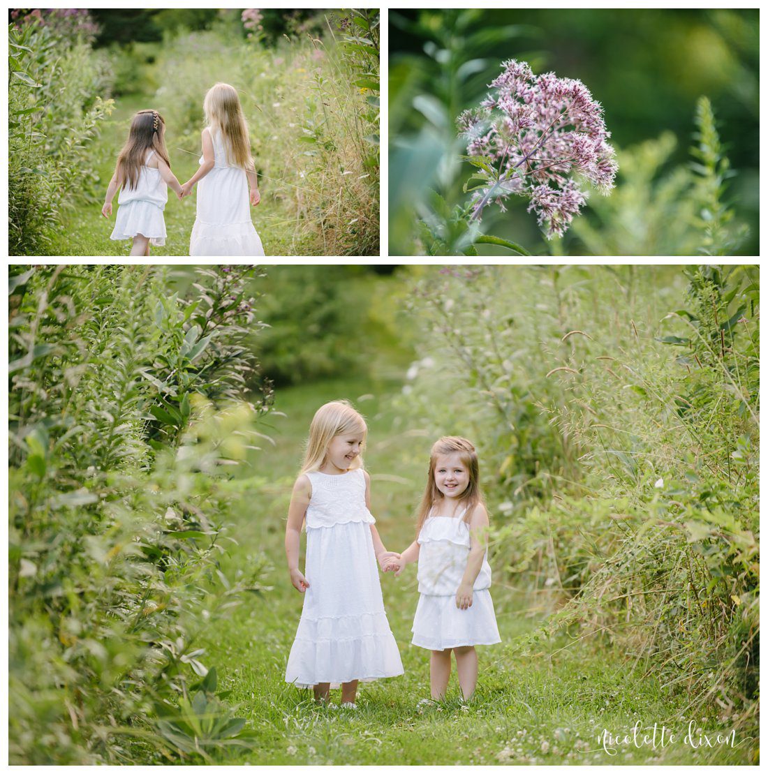 Pittsburgh Photographer