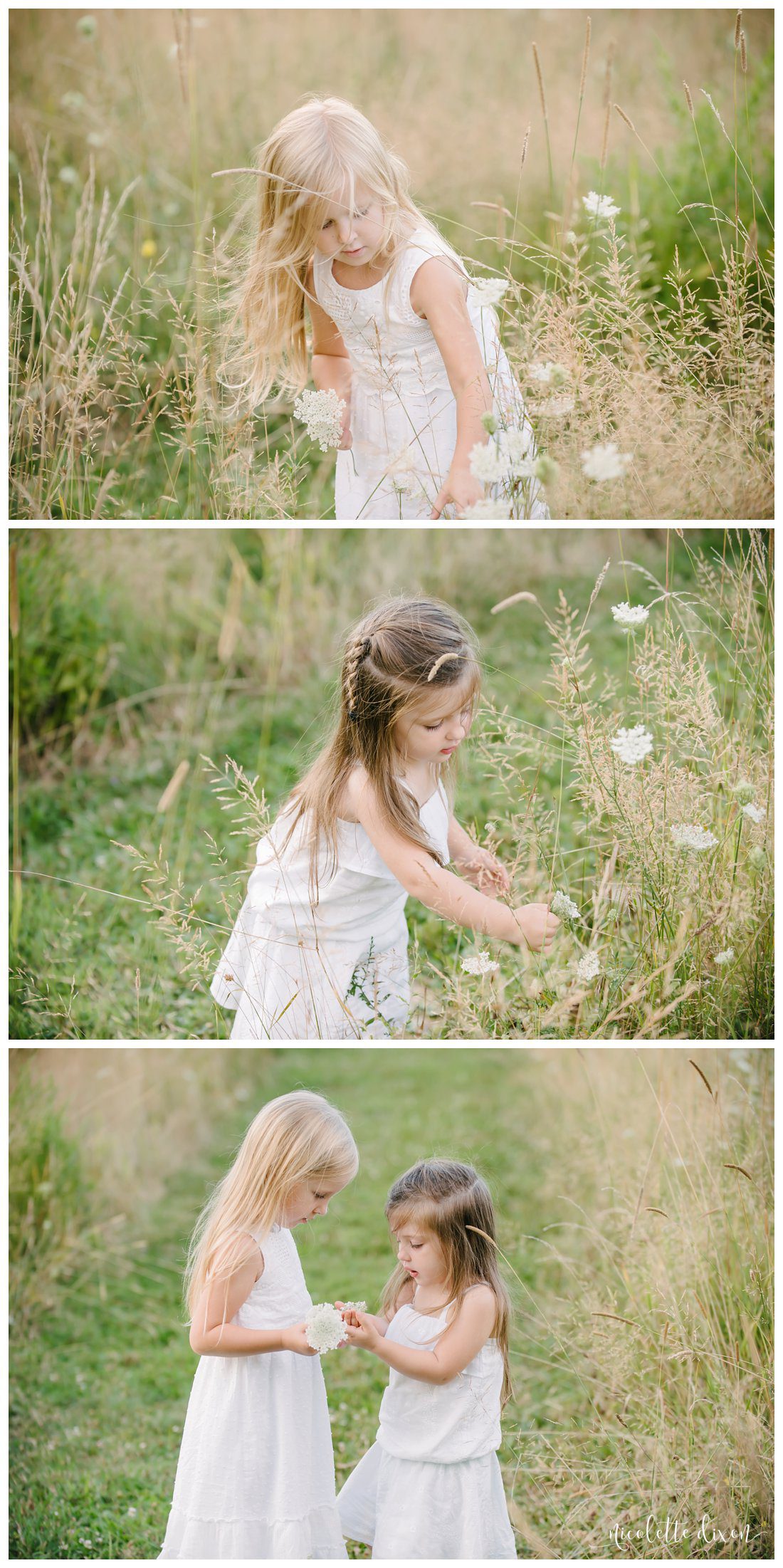 Pittsburgh Photographer