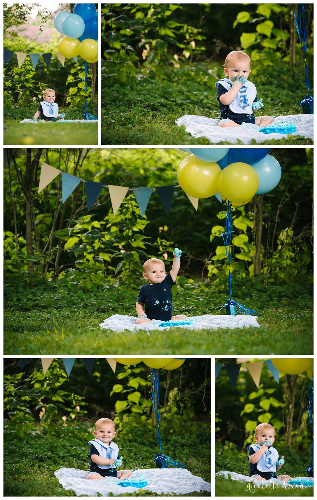 Pittsburgh Baby Photographer