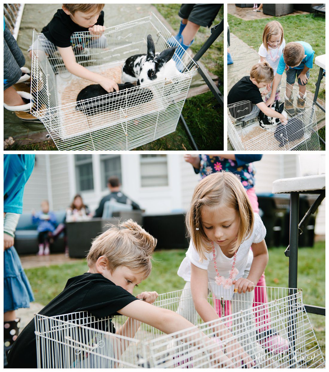 Pittsburgh Family Photographer